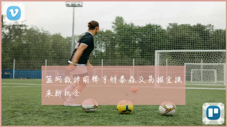 篮网裁掉前锋亨特泰森交易掘金换来新机会