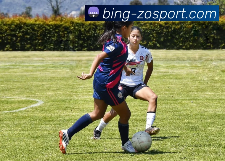 中欧体育平台生态图