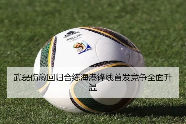 武磊伤愈回归合练海港锋线首发竞争全面升温 - zosprt